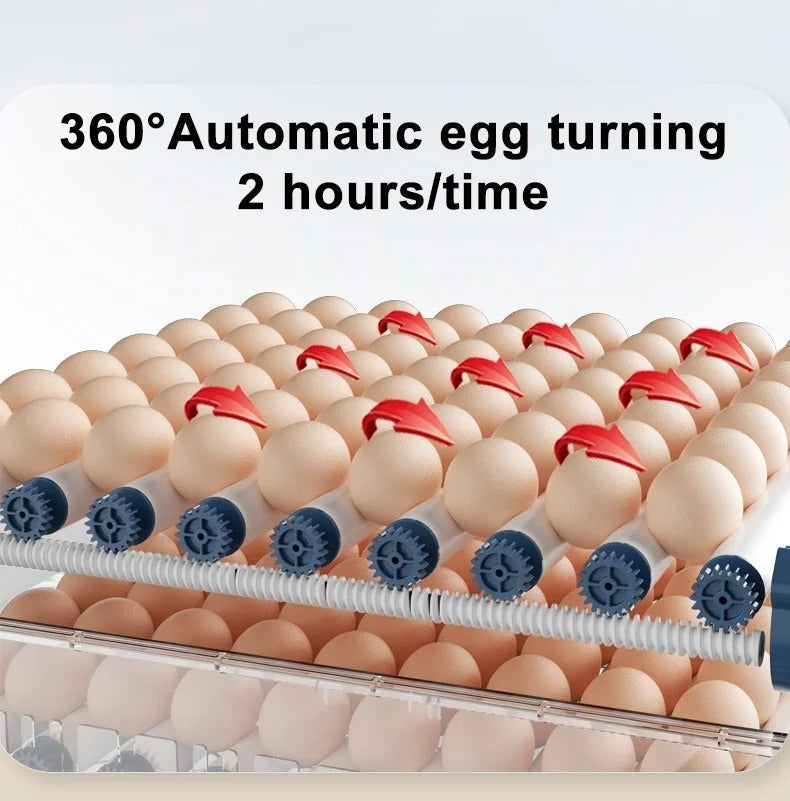 Automatische Brutmaschine – Eierinkubator & Temperaturregelung